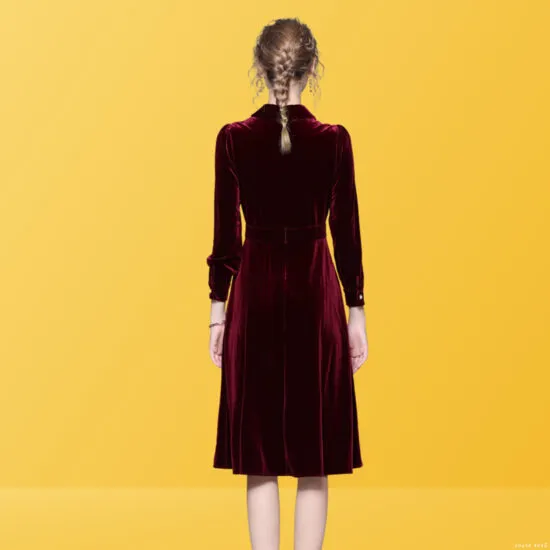 Eura Velvet A-Line Dress